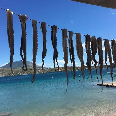 Casa Annie * 루트라키