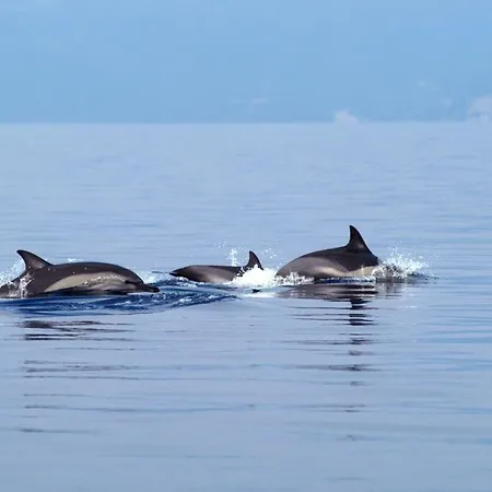 Casa Annie Loutráki